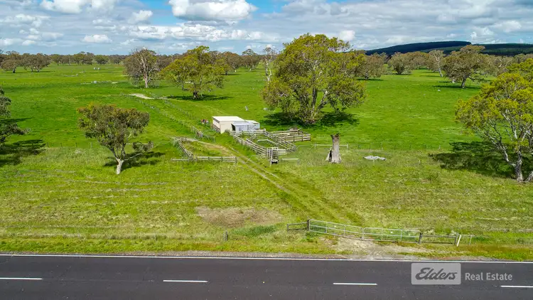 Third view of Homely rural property listing, Section 200 Mount Burr Road, Mount Mcintyre SA 5279