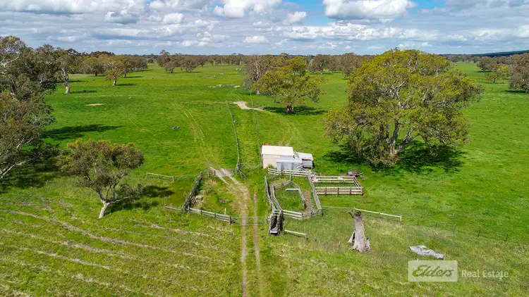Sixth view of Homely rural property listing, Section 200 Mount Burr Road, Mount Mcintyre SA 5279