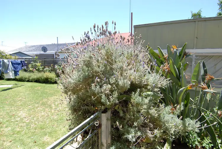 Seventh view of Homely house listing, 431 WHITELOCK STREET, Deniliquin NSW 2710