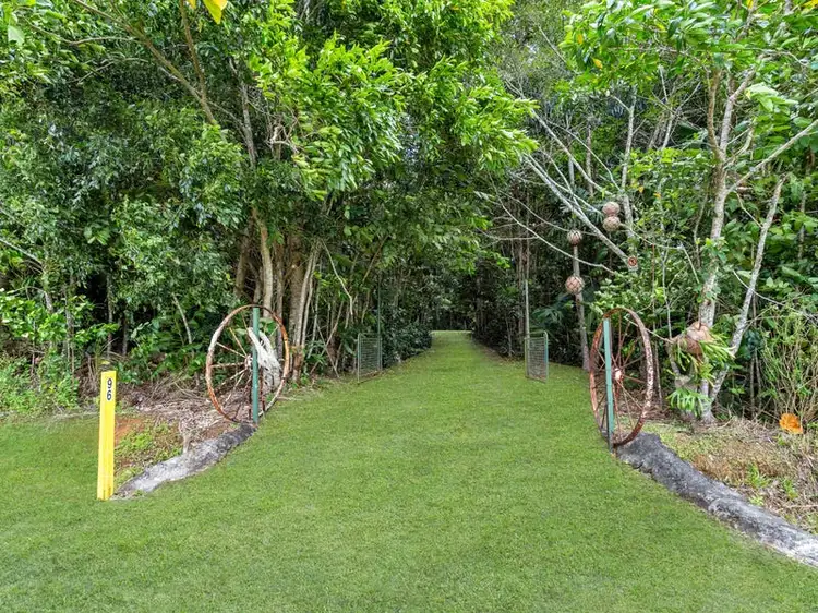 96 Buchanan Creek Road, Cow Bay QLD 4873
