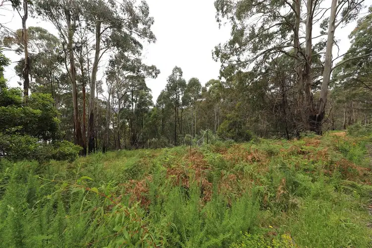 Fourth view of Homely land listing, Lot 3 Alta Villa Road, Batlow NSW 2730