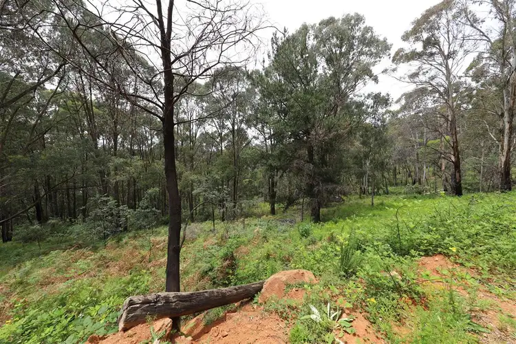 Sixth view of Homely land listing, Lot 3 Alta Villa Road, Batlow NSW 2730