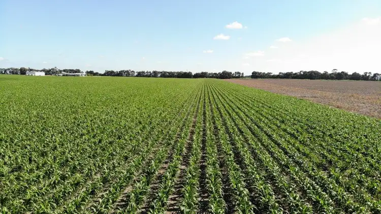 Fourth view of Homely rural property listing, 2087 ACRES HOPELAND DISTRICT, Chinchilla QLD 4413