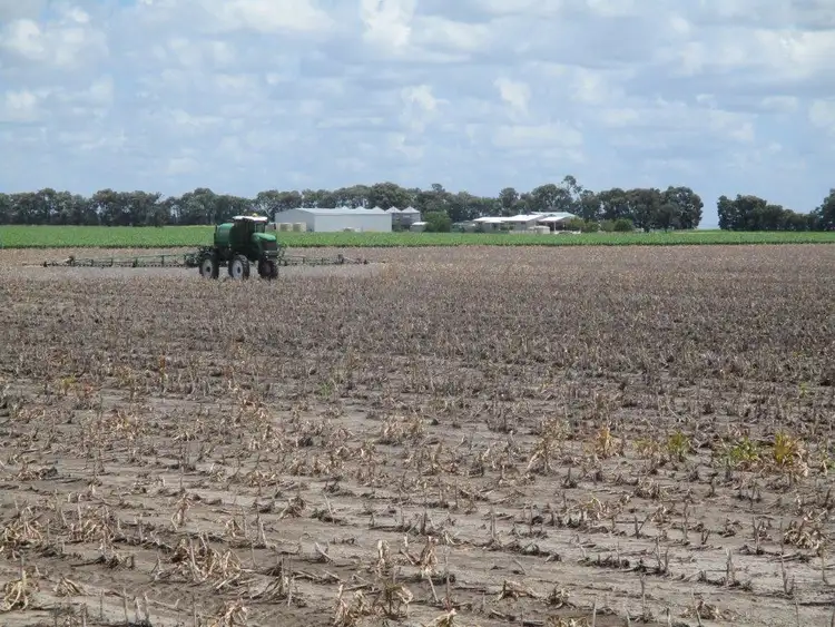 Seventh view of Homely rural property listing, 2087 ACRES HOPELAND DISTRICT, Chinchilla QLD 4413
