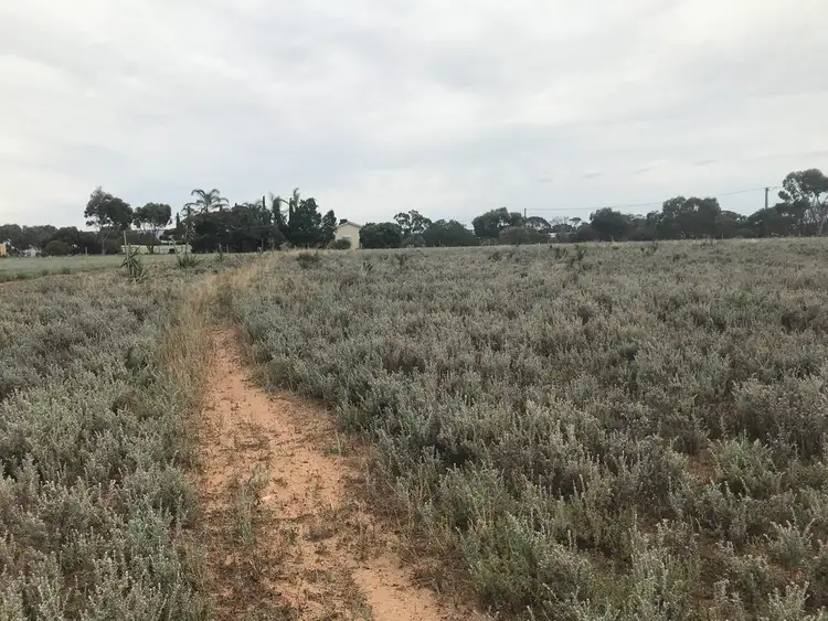 Fifth view of Homely rural property listing, 71 Kimba-Cowell Rd, Cowell SA 5602