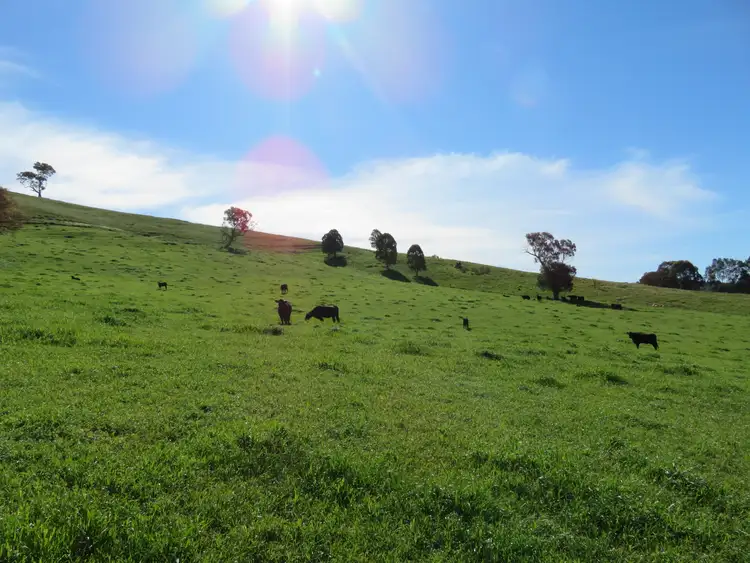 Third view of Homely land listing, 129 Burra Road, Gundagai NSW 2722