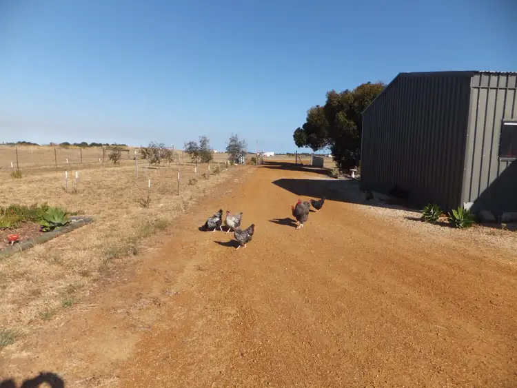 Second view of Homely house listing, 52 Dillwynia Way, Hopetoun WA 6348