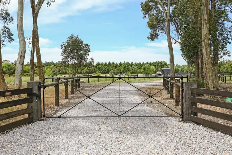 Main view of Homely land listing, 184 Noogee Road, Terang VIC 3264