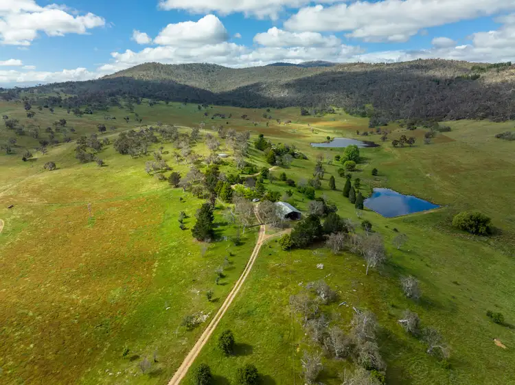 Second view of Homely rural property listing, 'Meekatharra' 875 Bobeyan Road, Bolaro NSW 2629