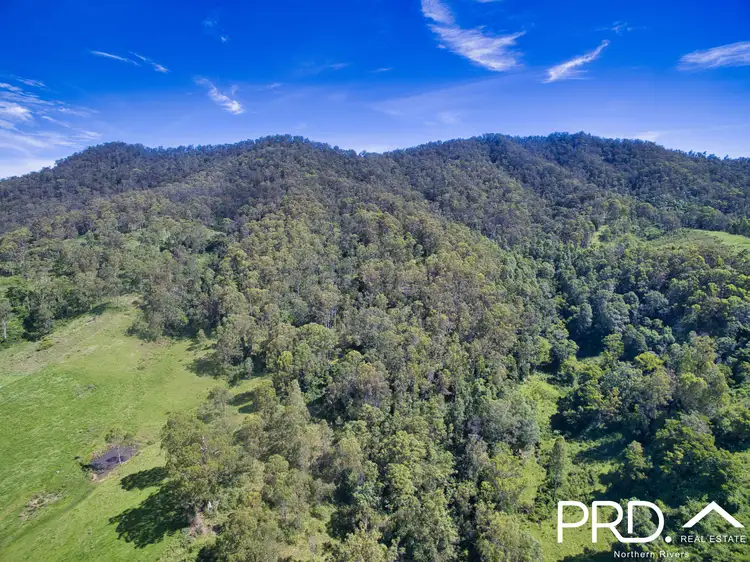 849 Eden Creek Road, Upper Eden Creek, Kyogle NSW 2474