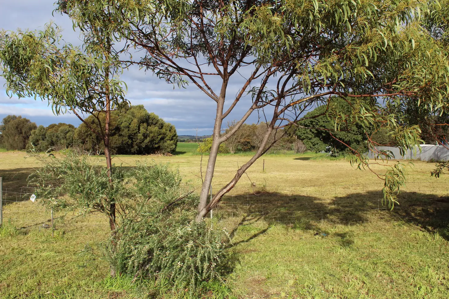 Main view of Homely land listing, LOT Lot 6, 44 Hirschausen Road, Poonindie SA 5607