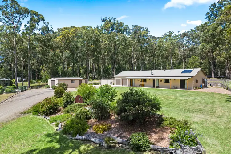 8 Brindabella Street, Bergalia NSW 2537