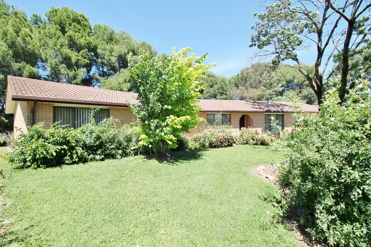 67 Back Creek Road, Young NSW 2594