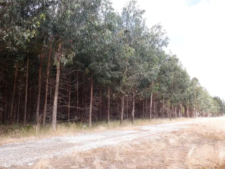 Second view of Homely rural property listing, Lot 9026 Holiwell Road, Northcliffe WA 6262