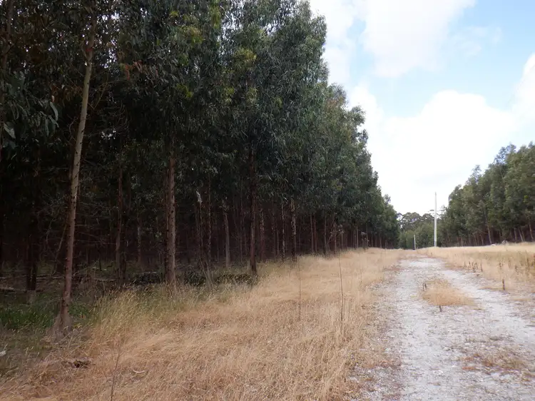 Third view of Homely rural property listing, Lot 9026 Holiwell Road, Northcliffe WA 6262