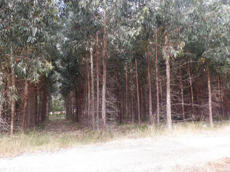 Fifth view of Homely rural property listing, Lot 9026 Holiwell Road, Northcliffe WA 6262