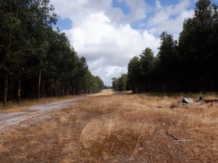 Sixth view of Homely rural property listing, Lot 9026 Holiwell Road, Northcliffe WA 6262