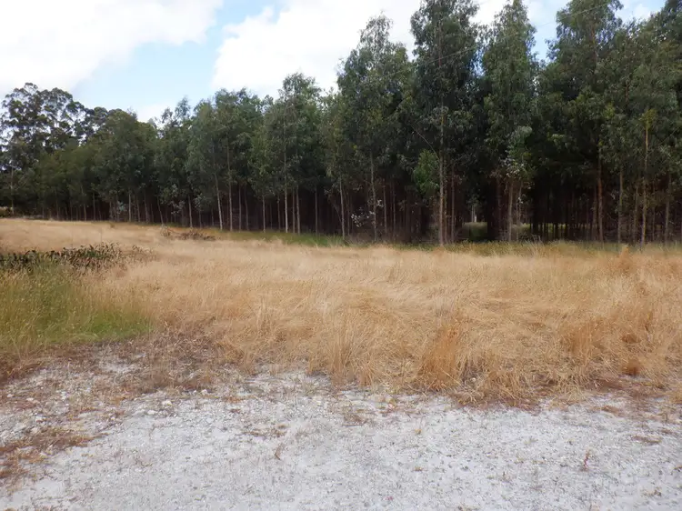 Seventh view of Homely rural property listing, Lot 9026 Holiwell Road, Northcliffe WA 6262