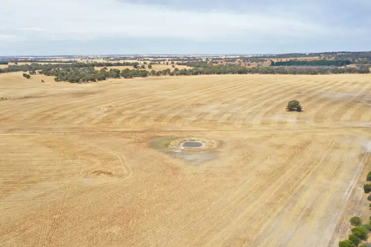 Second view of Homely rural property listing, 317 GORN ROAD, Mokup WA 6394