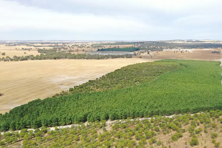 Third view of Homely rural property listing, 317 GORN ROAD, Mokup WA 6394