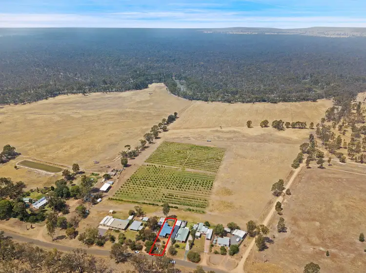 Fourth view of Homely house listing, 460 Moira Lakes Road, Barmah VIC 3639
