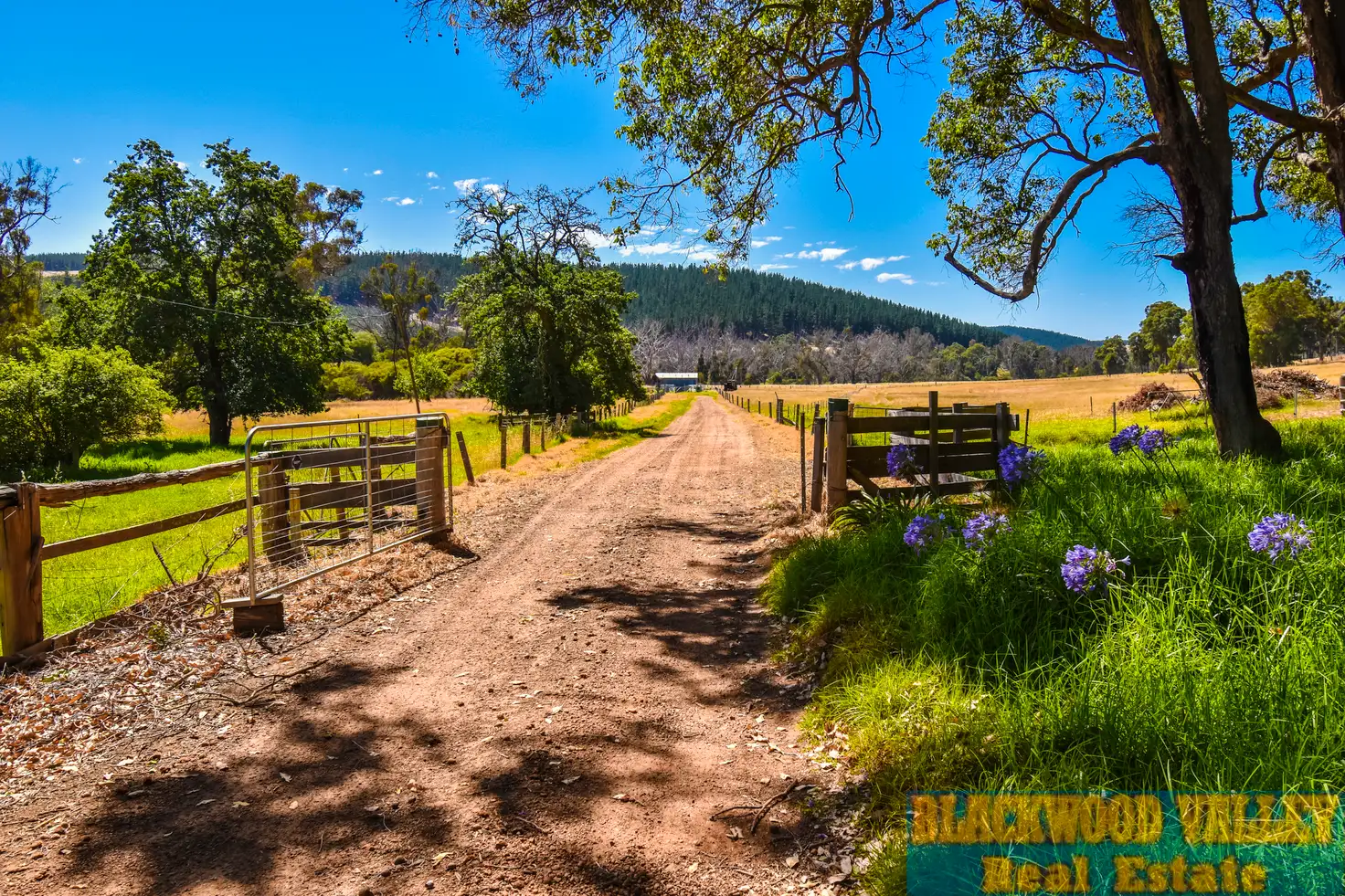 Main view of Homely rural property listing, 41 East Nannup Road, Nannup WA 6275