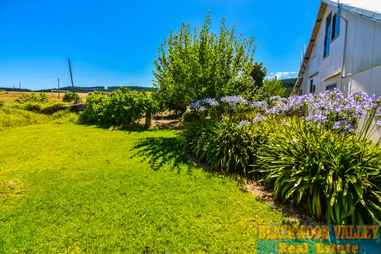 Fifth view of Homely rural property listing, 41 East Nannup Road, Nannup WA 6275