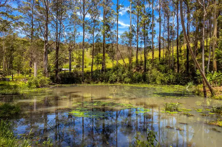 Main view of Homely rural property listing, 672 Candoormakh Creek Road, Nabiac NSW 2312