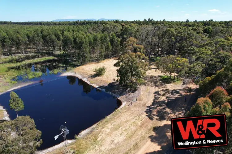 Fifth view of Homely rural property listing, 119 Yungup Road, Napier WA 6330