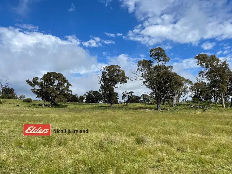 Lot 244 Teasdale Road, Neville NSW 2799