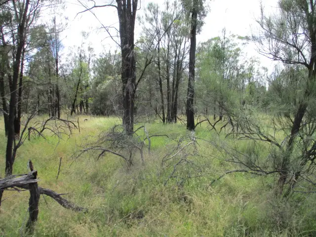 Lot 54 Ridge Road, Tara QLD 4421