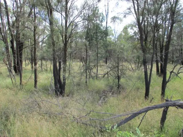 Second view of Homely rural property listing, Lot 54 Ridge Road, Tara QLD 4421