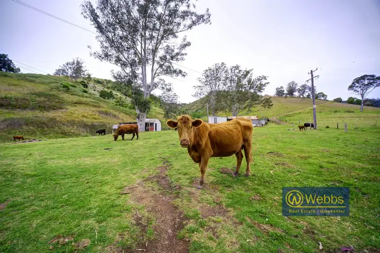 Second view of Homely rural property listing, 359 Titaatee Creek Road, Gloucester NSW 2422