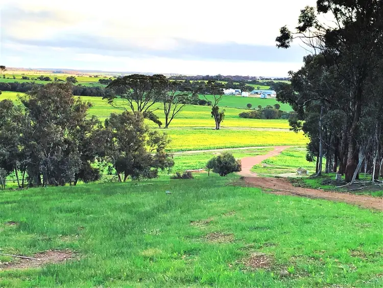 Second view of Homely rural property listing, 1267 Cartmeticup Road, Glencoe WA 6316