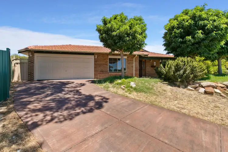 5 Knollwood Court, Ballajura WA 6066