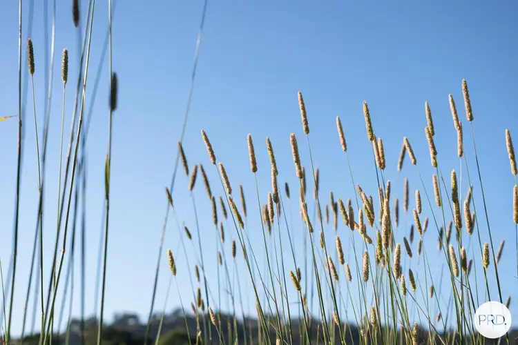 Sixth view of Homely land listing, LOT 1 & 2, 548 Dights Forest Road, Table Top NSW 2640