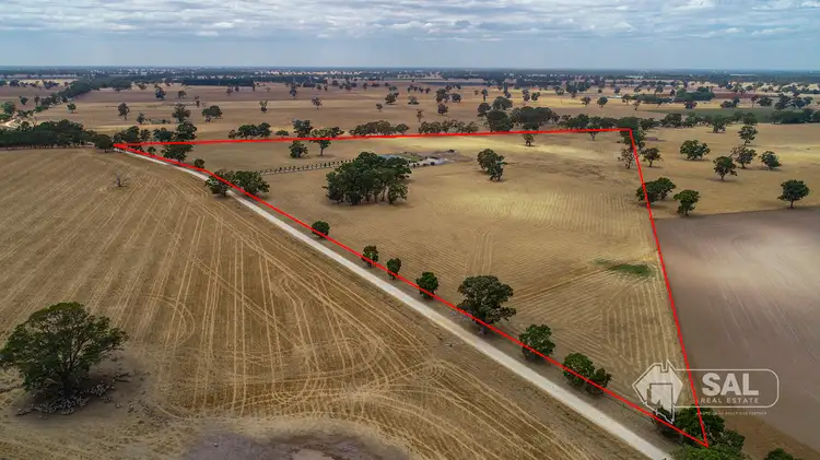 Second view of Homely rural property listing, 152 Munn Road, Naracoorte SA 5271
