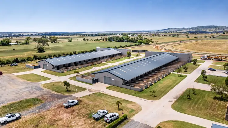 Seventh view of Homely house listing, 1298 Gore Highway, Westbrook QLD 4350