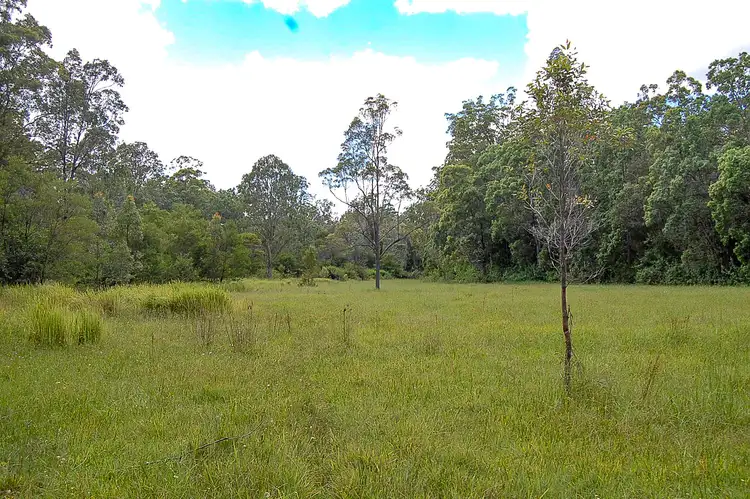 Seventh view of Homely rural property listing, 260 Hogarth Range Road, Mongogarie NSW 2470