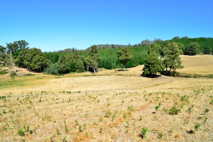 Sixth view of Homely land listing, 191 Dry Poles Road, Ellendale TAS 7140