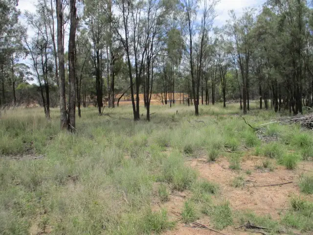 Sixth view of Homely rural property listing, 5 Cartens Lane, Tara QLD 4421