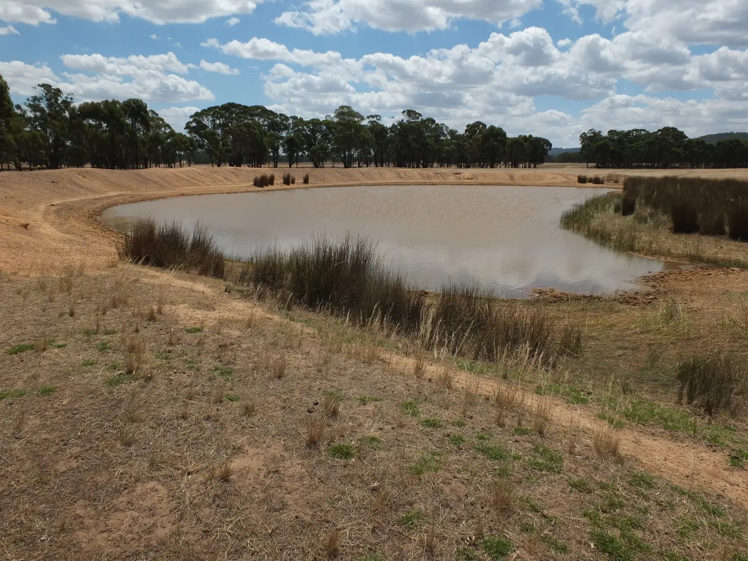 Main view of Homely rural property listing, 270 Apple Jack Road, Dunolly VIC 3472