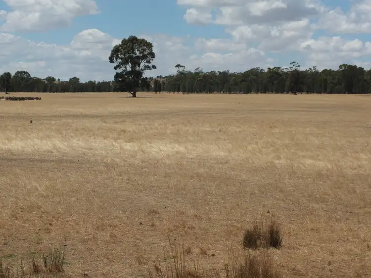 Second view of Homely rural property listing, 270 Apple Jack Road, Dunolly VIC 3472