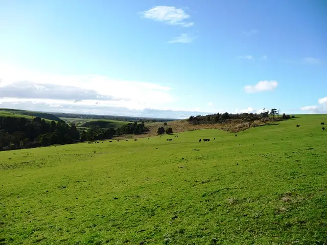 Sixth view of Homely rural property listing, Sec 10 Princess Hwy, Greenwald VIC 3304