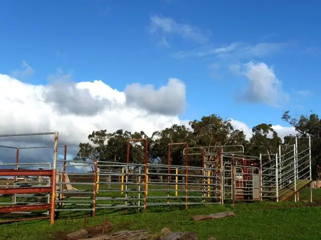 Seventh view of Homely rural property listing, Sec 10 Princess Hwy, Greenwald VIC 3304