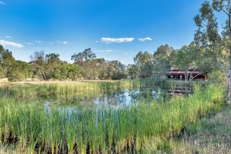 Fifth view of Homely house listing, 35 Haines Road, Baldivis WA 6171