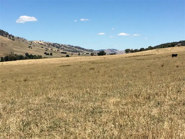 Fifth view of Homely rural property listing, lot 8222 Yaven Creek Road, Adelong NSW 2729