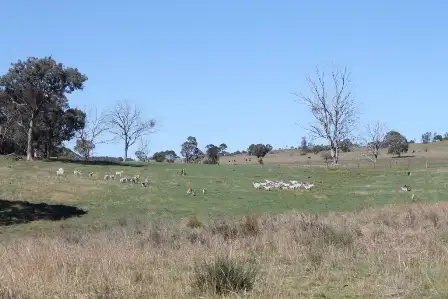 Second view of Homely land listing, Address available on request