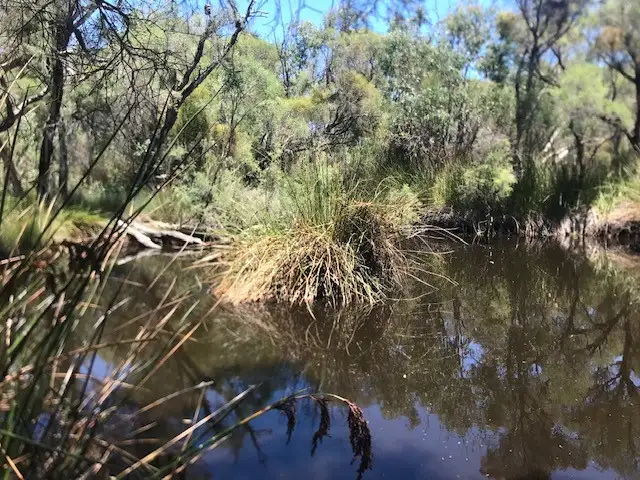 305 Whitfield Springs Road, Beermullah WA 6503