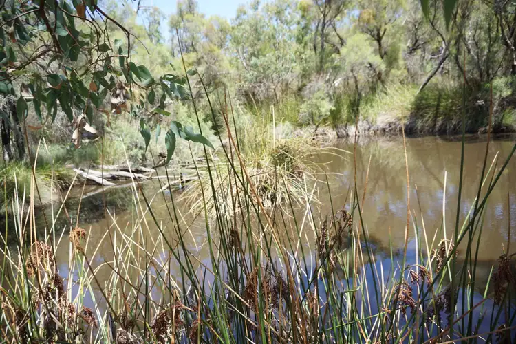Fifth view of Homely rural property listing, 305 Whitfield Springs Road, Beermullah WA 6503